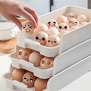 계란 보관함
